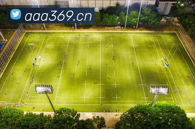 多媒体互动体验